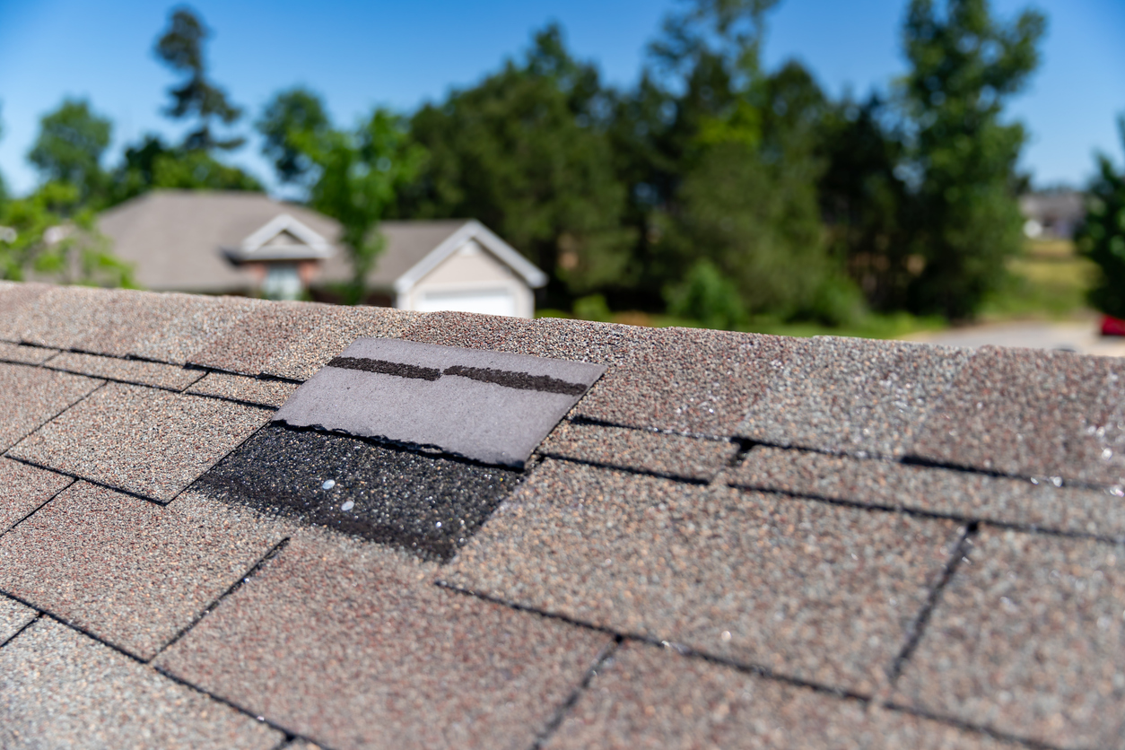 Roofing shingle damaged in storm